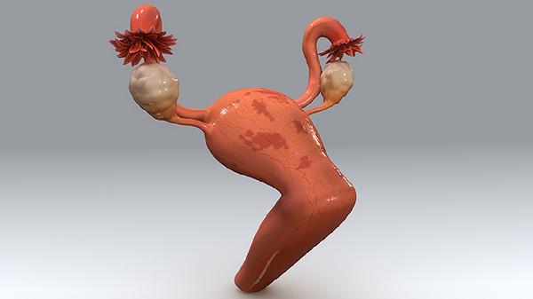 月经前乳头疼痛的原因与应对 | 理解经前综合症的身体信号